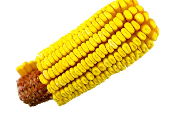 Espiga de milho isolada — Fotografia de Stock