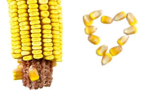 Kukorica csutka és elszigetelt kukorica szív — Stock Fotó