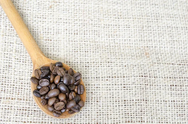 Wooden spoon full with roasted coffee beans — Stock Photo, Image