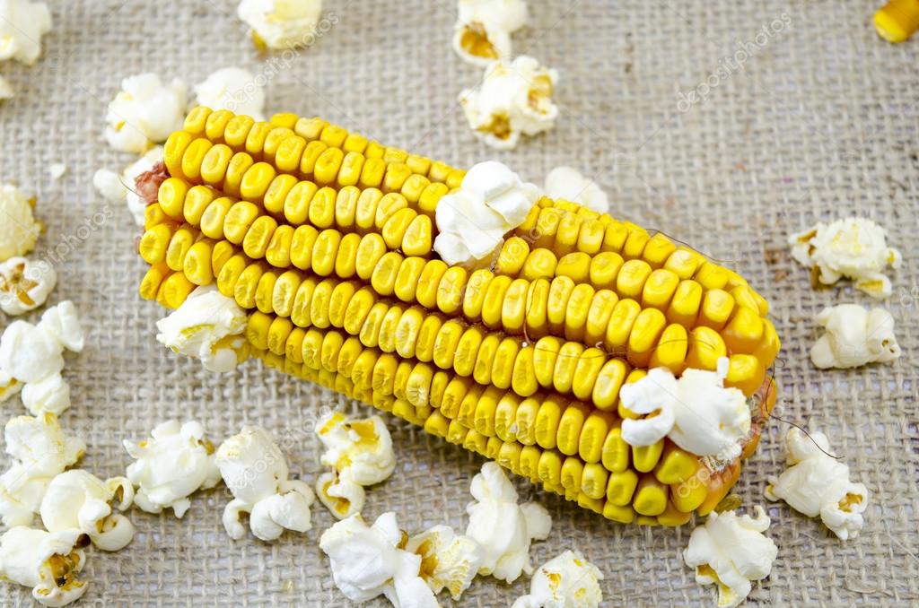 Ear of corn and popcorns on a tablecloth — Stock Photo © CreativeFamily