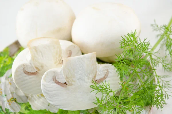 Funghi freschi crudi e rosmarino — Foto Stock