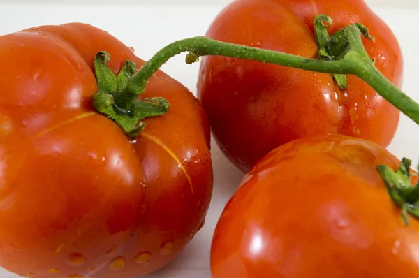 Bunch of wet tomatos closeup — Stock Photo, Image