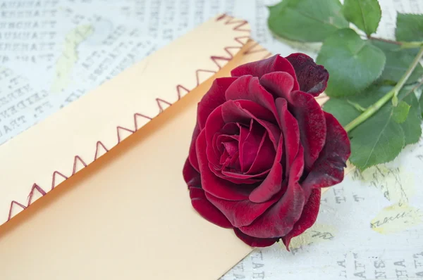 Rose and a handmade love envelope — Stock Fotó