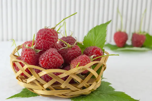 Raspberries in wooden basket — Stock Photo, Image