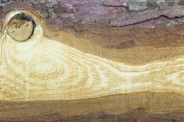 Struttura naturale del bordo di legno — Foto Stock