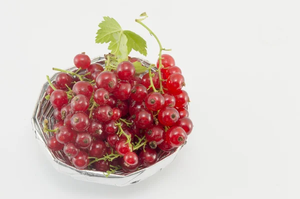 Fruta fresca de grosella en un tazón brillante aislado — Foto de Stock