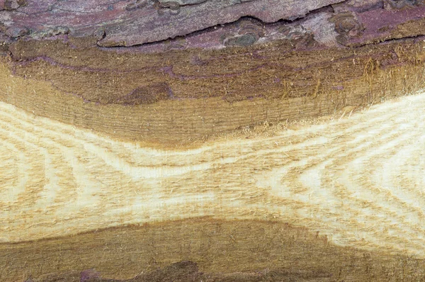 Struttura naturale del bordo di legno — Foto Stock