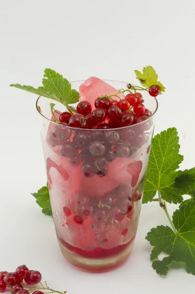 Currant iced tea in a glass decorated with currant leaves and fr — Stock Photo, Image