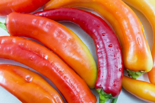 Fresh crooked orange and red peppers on a white wooden table — Stock Photo, Image