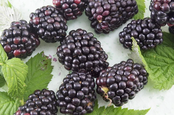 Fresh blackberries on blackberry leaf — Stock Photo, Image