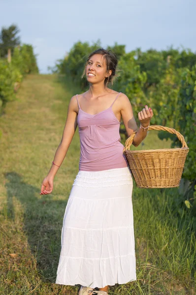 Chica joven en la vendimia de uva con gran cesta de mimbre para almacenar g —  Fotos de Stock