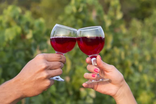 Žena a muž ve vinici pít červené víno v sluníčko clin — Stock fotografie