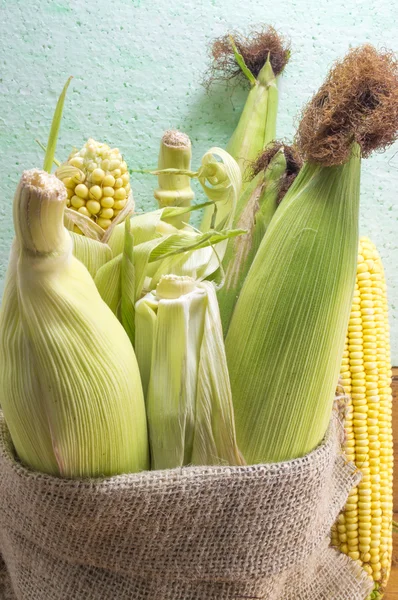 Färsk majs i påsen — Stockfoto