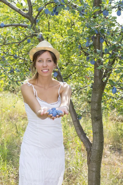 Ragazza felice che offre prugne nel frutteto — Foto Stock