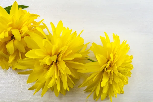 Yellow flower decoration — Stock Photo, Image