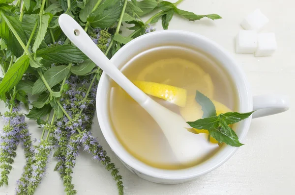 Chá de hortelã com limão e uma planta de hortelã fresca — Fotografia de Stock