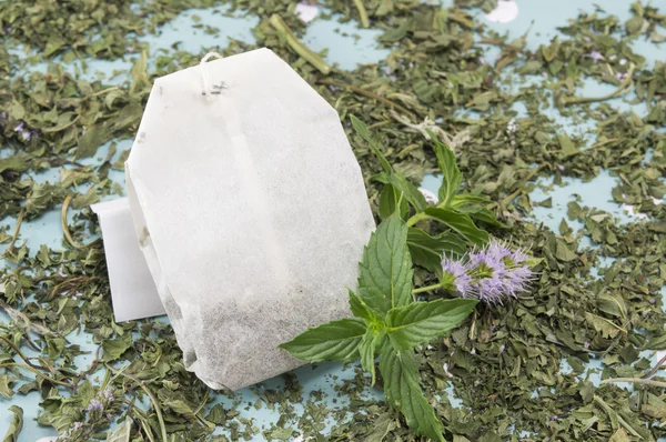 Sacchetto di tè alla menta e pianta di menta fresca — Foto Stock