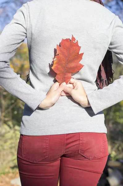 女孩与红色秋天的叶子，在她手中的剪影 — 图库照片