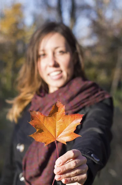 Czerwony jesień liść w ręce dziewczyny — Zdjęcie stockowe