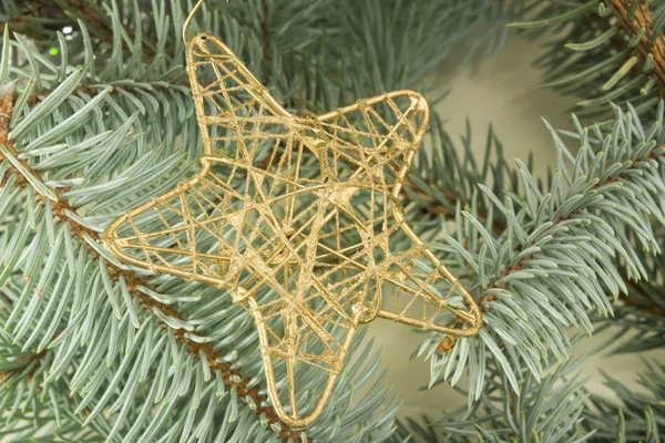 Decorazione natalizia a forma di stella su un ramo di abete — Foto Stock