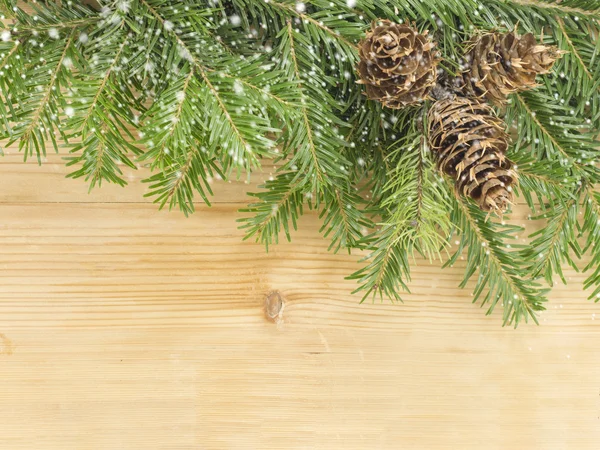 Pine cones Christmas background with fir tree — Stock Photo, Image