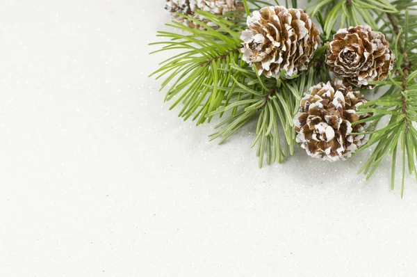 Juldekorationer med fir tree — Stockfoto