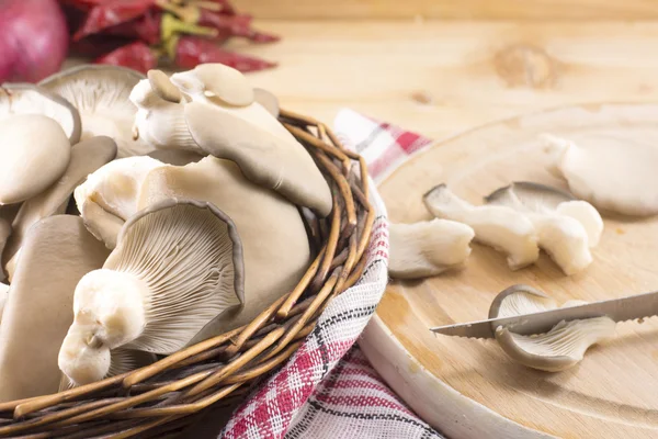 Un mucchio di funghi ostrica — Foto Stock