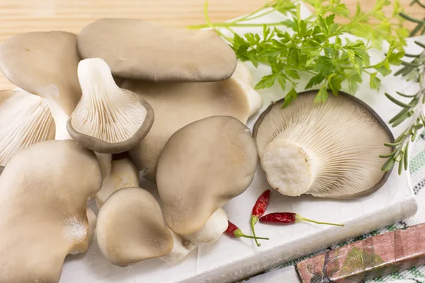 Un mucchio di funghi ostrica — Foto Stock