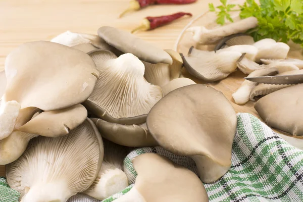 群的牡蛎蘑菇 — 图库照片