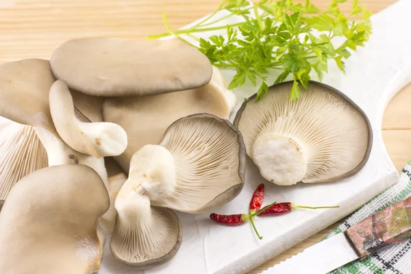 Un mucchio di funghi ostrica su un vassoio — Foto Stock