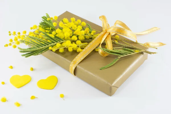 Ramo de mimosa pudica y un regalo envuelto — Foto de Stock