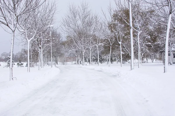 Park road, nehéz havas — Stock Fotó