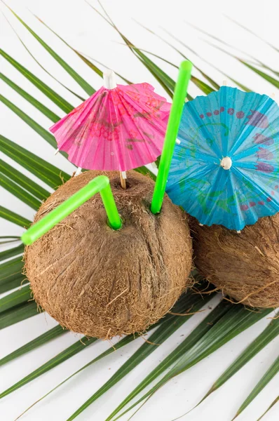 Cócteles de coco fresco con sombrillas — Foto de Stock