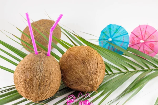 Kokosowe świeże koktajle z parasolami — Zdjęcie stockowe
