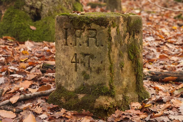 Landmark stone in the forest — Stock Photo, Image