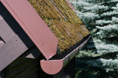 Roof covered by moss clipart