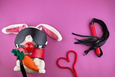 Pembe arka planda BDSM oyuncakları. Cinsel hayat kavramı. Boyunluğu ve maskesi olan yakalı oyuncak bir tavşan. BDSM ve halatı kalp şeklinde ayarla. Seks dükkanının reklamı..