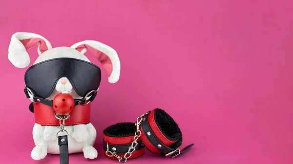 Bdsm Set Pink Background Toy Rabbit Dressed Bdsm Accessories Concept — Stock Photo, Image