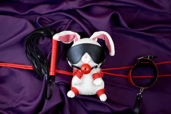 Das Shibari Konzept Bdsm Set Und Spielzeugkaninchen Mit Seil Gebunden — Stockfoto