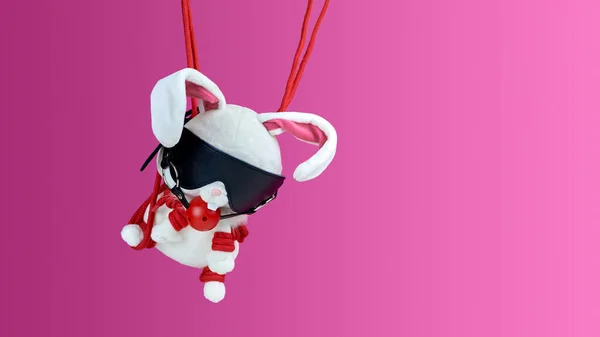 Kiegészítők Bdsm Játékokhoz Játéknyúl Maszkban Egy Szájpecek Lóg Kötélen Shibari — Stock Fotó