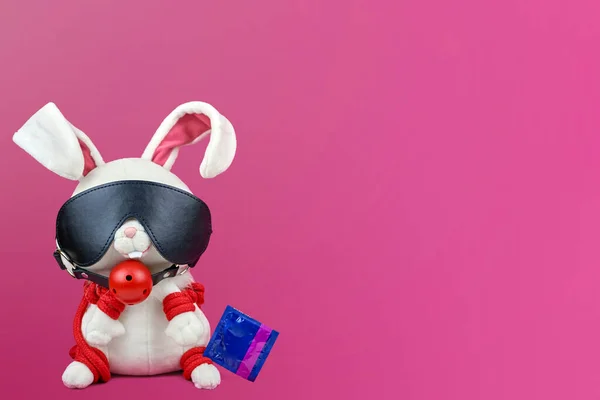 A bound toy rabbit dressed in BDSM accessories. A banner for a sex shop. A toy rabbit with a condom. The concept of protection against sexually transmitted diseases.