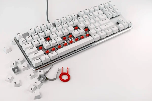 https://st2.depositphotos.com/41600462/48999/i/450/depositphotos_489990256-stock-photo-disassembled-keyboard-white-background-disassembly.jpg