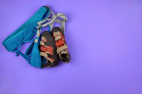 Climbing Shoe and Climbing harnesses, copy space. Climbing equipment on a purple background. The concept of mountaineering and mountain tourism. Banner for advertising a climbing wall