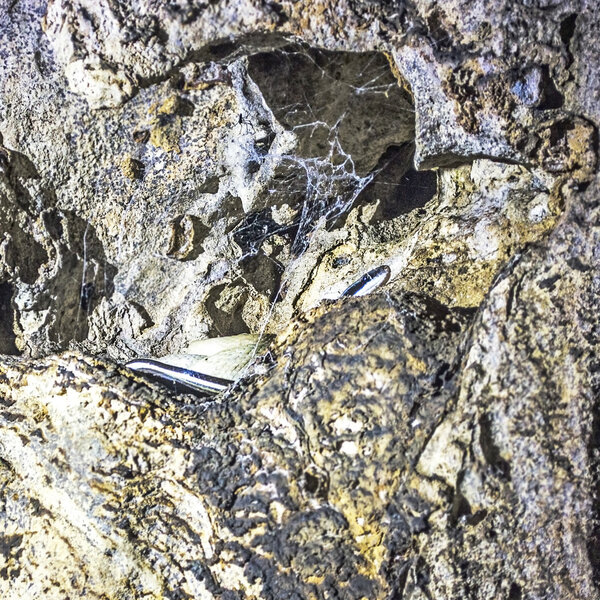 Пещеры Санке
