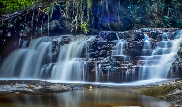 Wasserfälle im Regenwald — Stockfoto