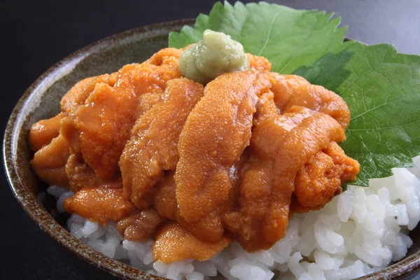 Tazón de arroz de erizo de mar con wasabi — Foto de Stock