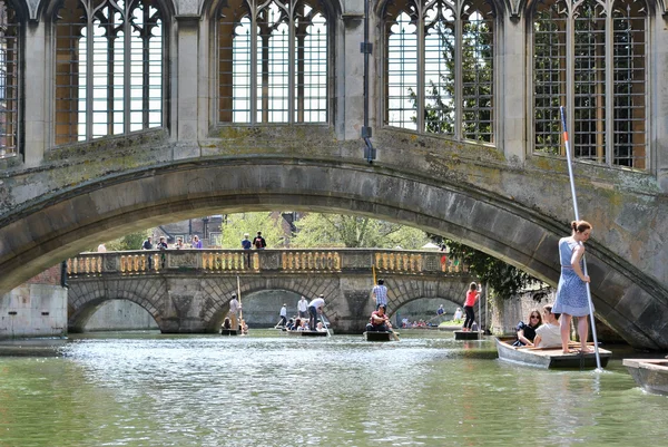 Pessoas punting no rio Cam em Cambridge — Fotografia de Stock