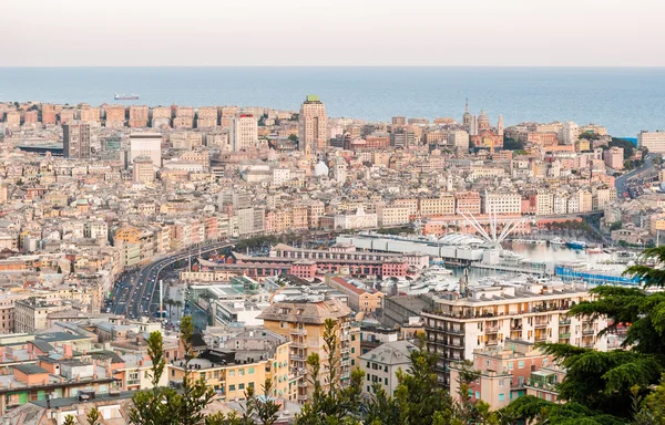 Panoramic view of the city center of Genoa after the sunset — Stock Photo, Image