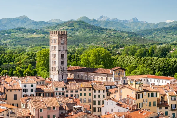 Vista aérea de Lucca, na Toscana, durante uma tarde ensolarada; o campanário pertence à igreja de San Frediano — Fotografia de Stock