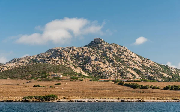 Isla Asinara Cerdeña — Foto de Stock